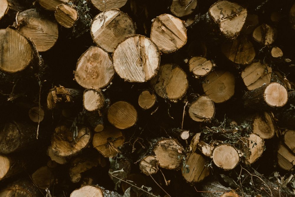 Untidy pile of firewood