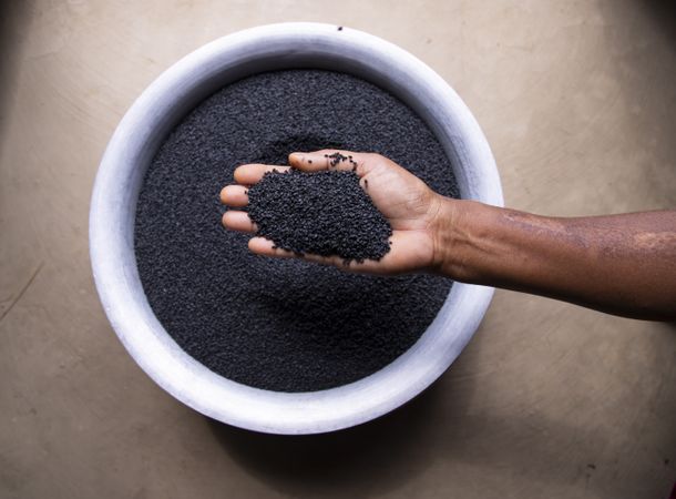 Onion seeds in farmer's hand