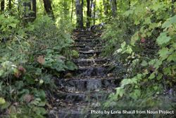 Stone stairs pathway at the Joyce Cabin at the Joyce Estate in Bovey, Minnesota 5kDdj4