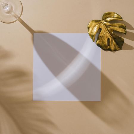 Wine glass with golden leaf and square paper on beige background with palm leaf shadow
