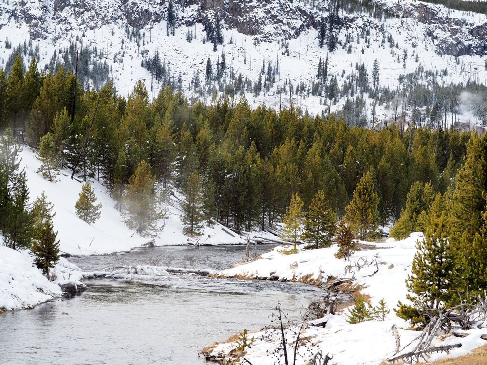 Icy Veins: Frozen River Meandering Through Yellowstone's Snowy Wilderness