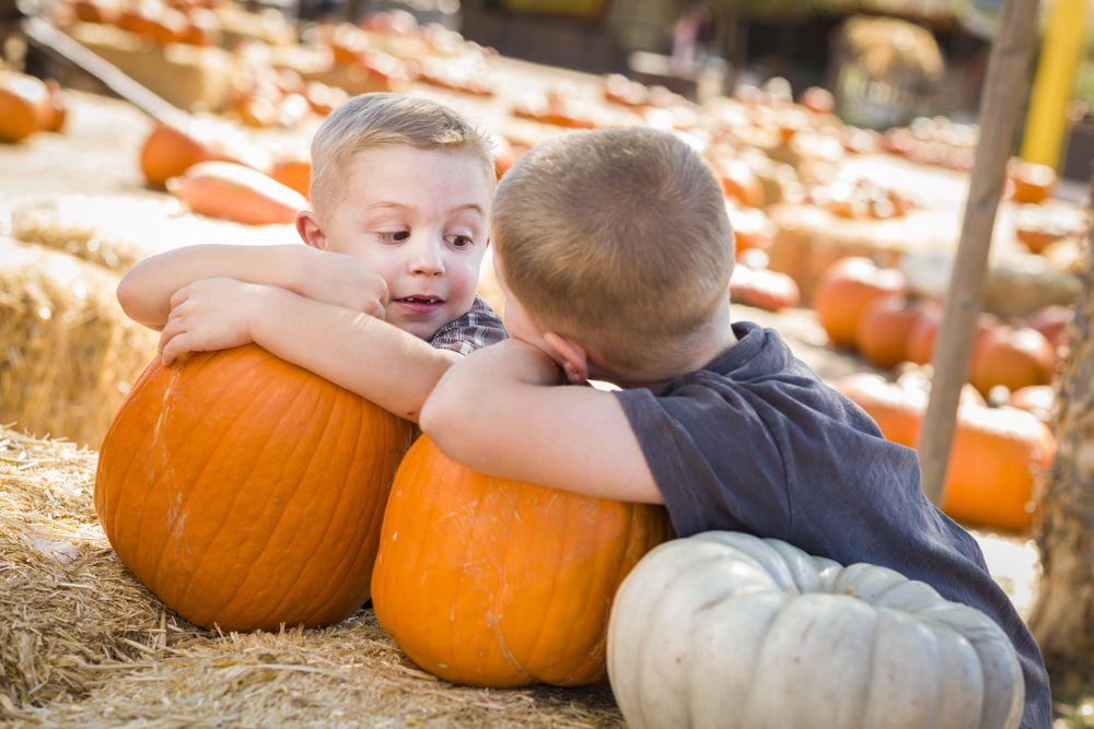 Boys Having Fun on a Fall Day