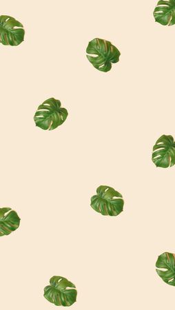Pattern of tropic monstera  leaves on beige background
