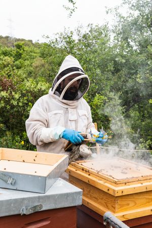 Male beekeeper using bee smoker in apiary
