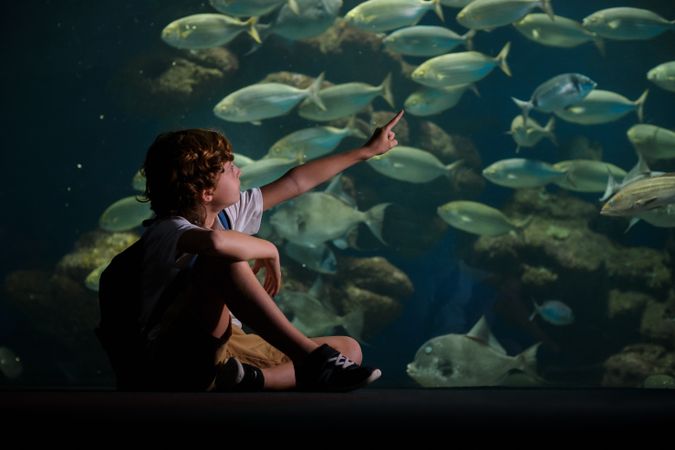 Boy pointing at fish in underwater aquarium