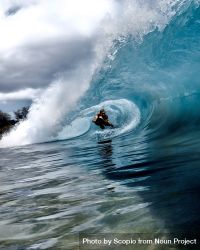 Person surfing sea wave 56zJx5