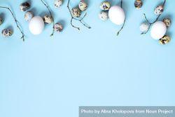 Quail and chicken eggs with twigs on baby blue background, with copy space 5XagM4