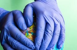 Hands in blue latex gloves hiding globe