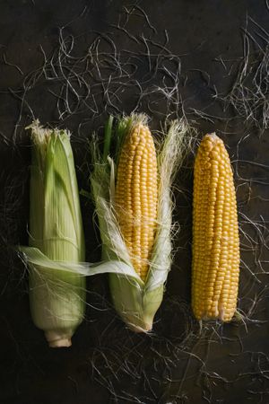 Phases of fresh corn peeling