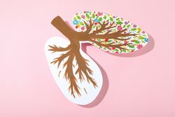 Lung paper shape with painted bronchi and flowers on pink background