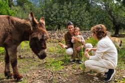 Happy mother with kids feeding cute donkeys with carrots