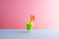 Plastic flower in pot over blue and pink background