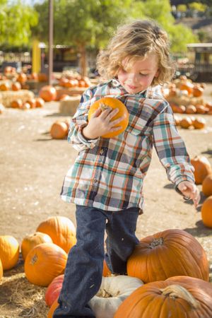 Little Boy Holding His Pumpkin at a Pumpkin Patch