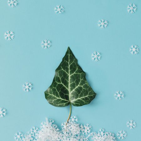 Winter Christmas Tree made of leaf on blue background with snowflakes