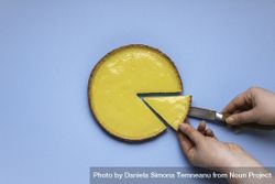 Serving a single piece of lemon tart 5oge15
