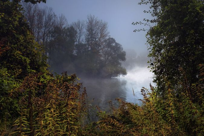 Mist on a lake through the trees