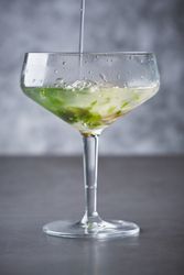 Refreshing martini cocktail with fresh oysters