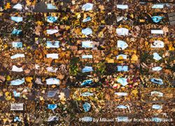 MONTREAL, QUEBEC, CANADA – November 2020: Abandoned and discarded masks on fallen leaves 0KBZNb