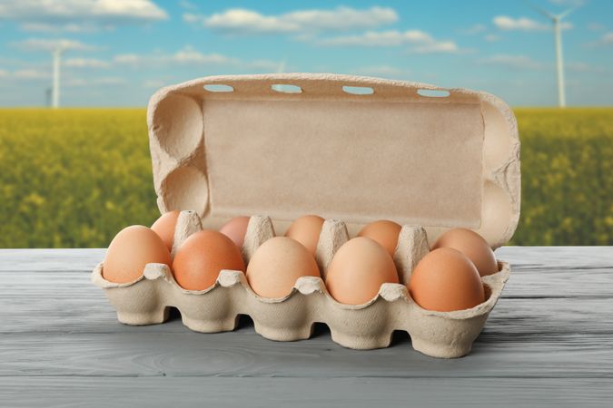 Wooden table with eggs in carton box against field. Farming concept