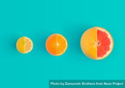 Lemon, orange and grapefruit partially sliced on bright blue background 4BBWk4