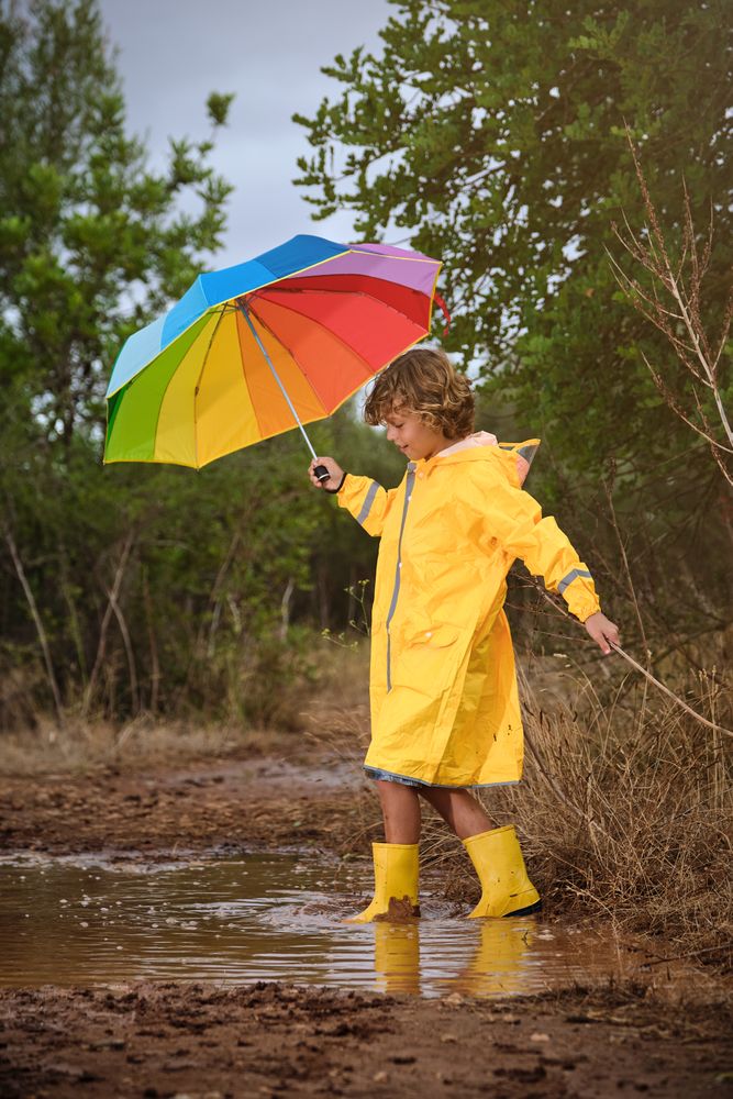 Little boy with umbrella in forest