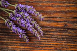 Bunch of lavender flowers on wooden table