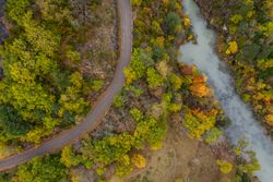 Road by autumn river