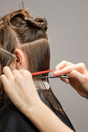 Process of cutting bob, back view