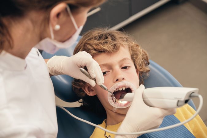 Crop dentist using intraoral scanner for dental teeth moldings