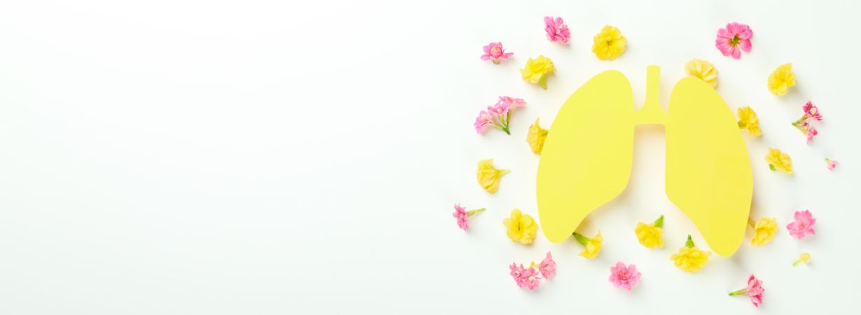 Banner of yellow lungs surrounded with flowers with copy space