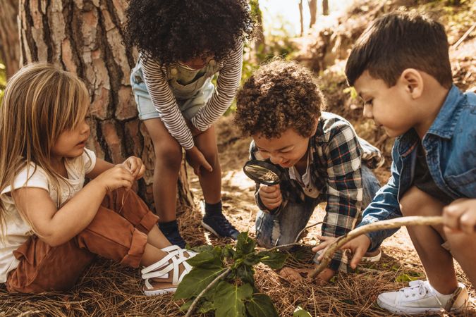 Children in forest looking at leaves as a researcher together with the magnifying glass