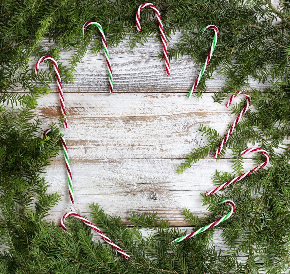 Real fir wreath with candy cane decoration ornaments on rustic wood for the Christmas or New Year holiday background