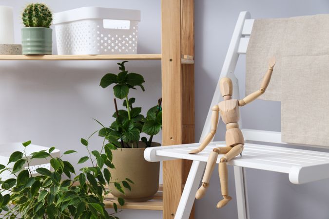 Cozy hobby - growing indoor plants at home