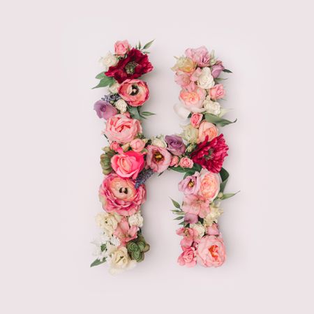Letter H made of real natural flowers and leaves