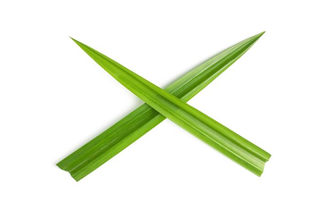 pandan