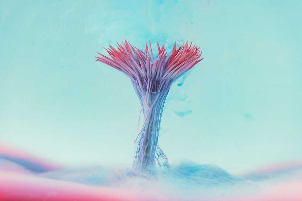 Pink daisy flower with pastel blue ink