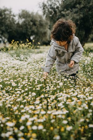 Young girl picking daisies in a field