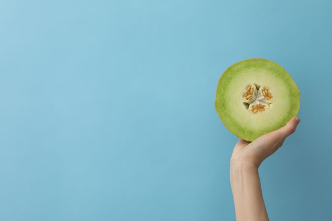 Juicy and tasty summer time fruit concept - melon