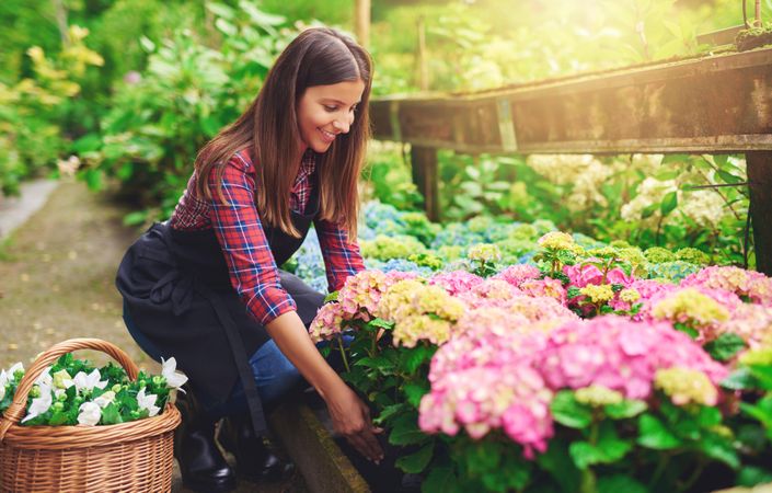 Smiling woman tending colorful flowers in a greenhouse