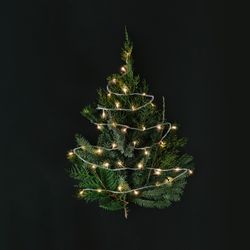 Christmas tree with lights on dark table top