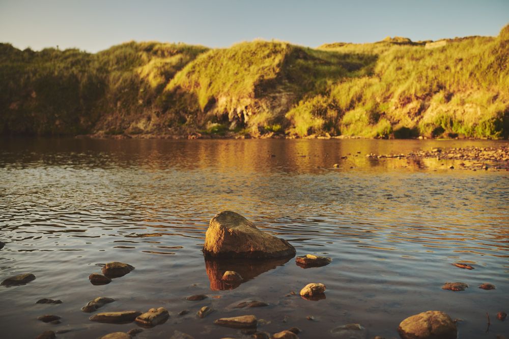 Grassy cliff from the water