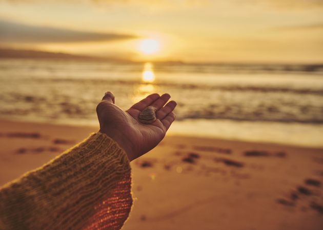 Hang holding out a seashell on a beach