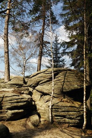Huge natural stones and growing trees