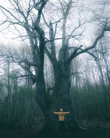 Traveller standing beside old tree covered by moss