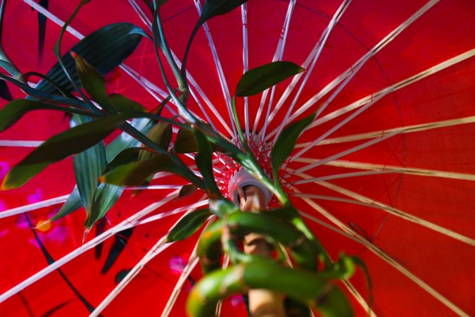 Traditional japanese umbrella, traditional japanese accessories concept