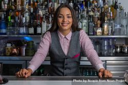 Smiling bartender standing at the bar 0LWPgb