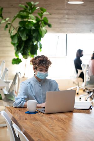 Nonbinary person with curly hair working in an open plan office wearing a face mask