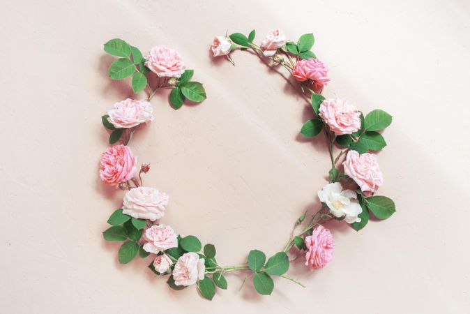 Ring of delicate pink roses