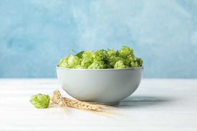 Bowl with hop and spikelets on wooden table, space for text