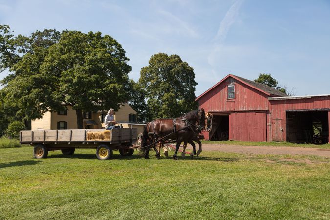 Red barn and horse drawn farm wagon at The Howell Living History Farm in Lambertville, New Jersey